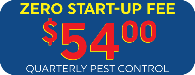 Quarterly Pest Control Special